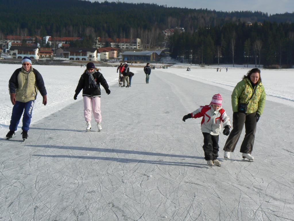 Mysi V Bote Lipno Apartment Lipno nad Vltavou Luaran gambar